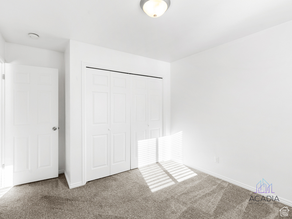 Unfurnished bedroom featuring carpet floors and a closet