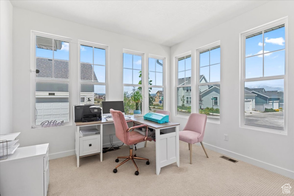 Office area featuring light colored carpet