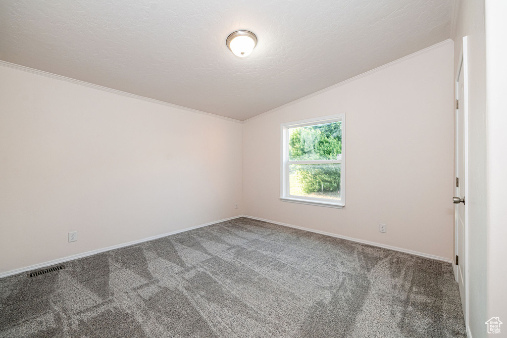 Empty room featuring carpet floors, lofted ceiling, crown molding, and a textured ceiling