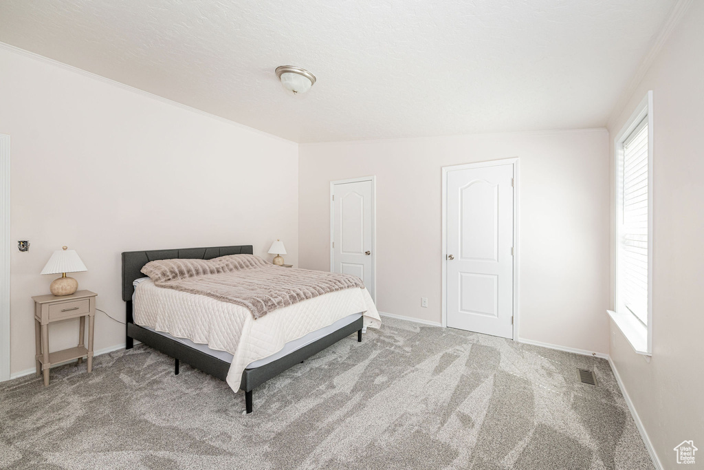 Carpeted bedroom featuring multiple windows