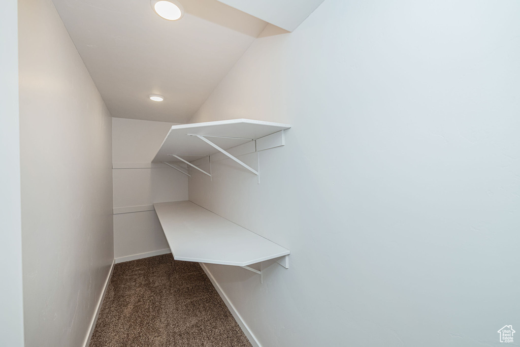 Walk in closet with dark carpet