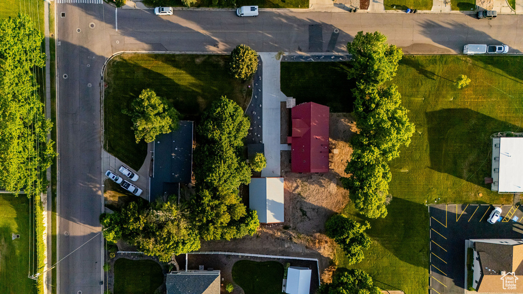 Bird\'s eye view