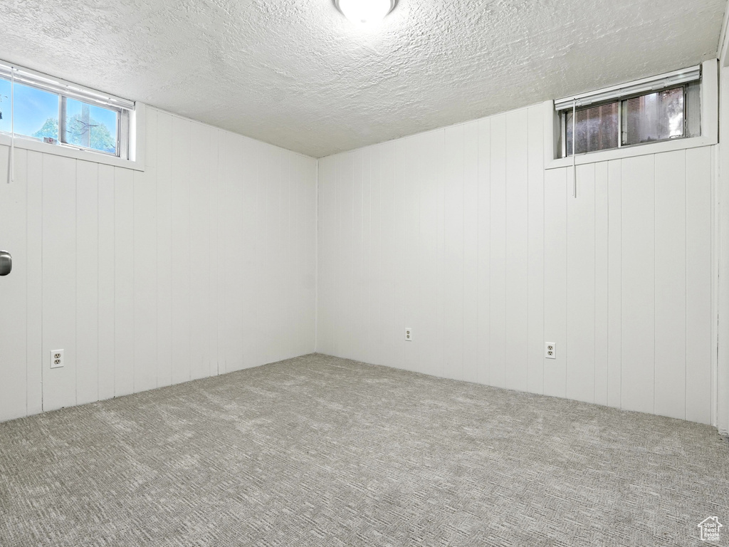 Below grade area with carpet flooring and a textured ceiling