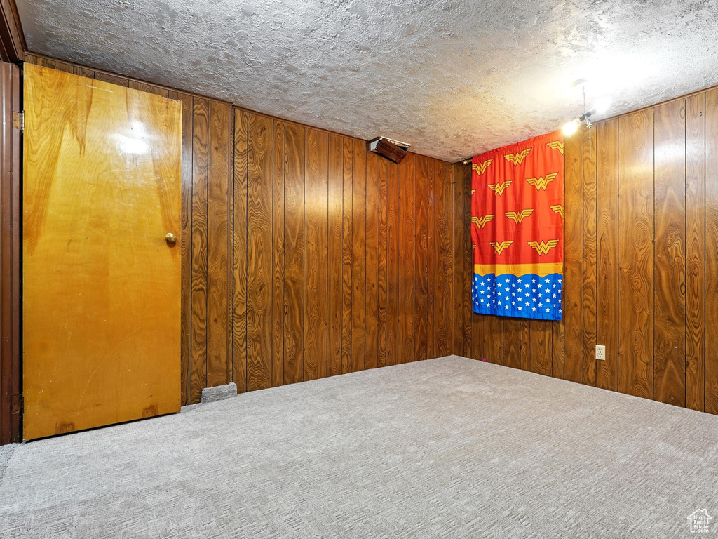 Carpeted empty room with wood walls
