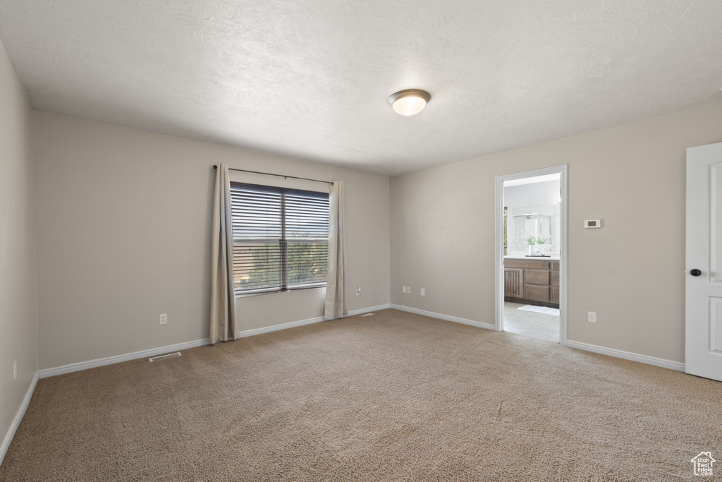 Empty room featuring light colored carpet and a textured ceiling
