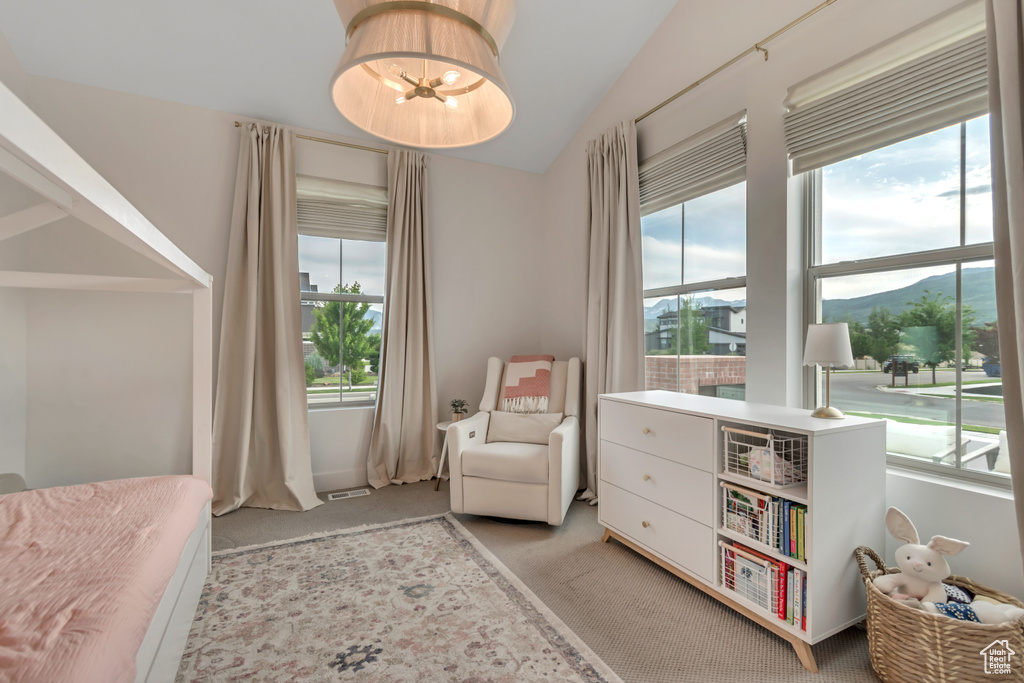 Bedroom with carpet and vaulted ceiling