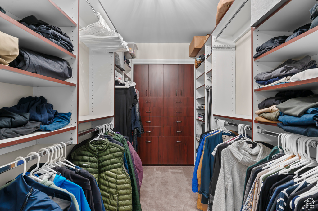 Walk in closet featuring light colored carpet