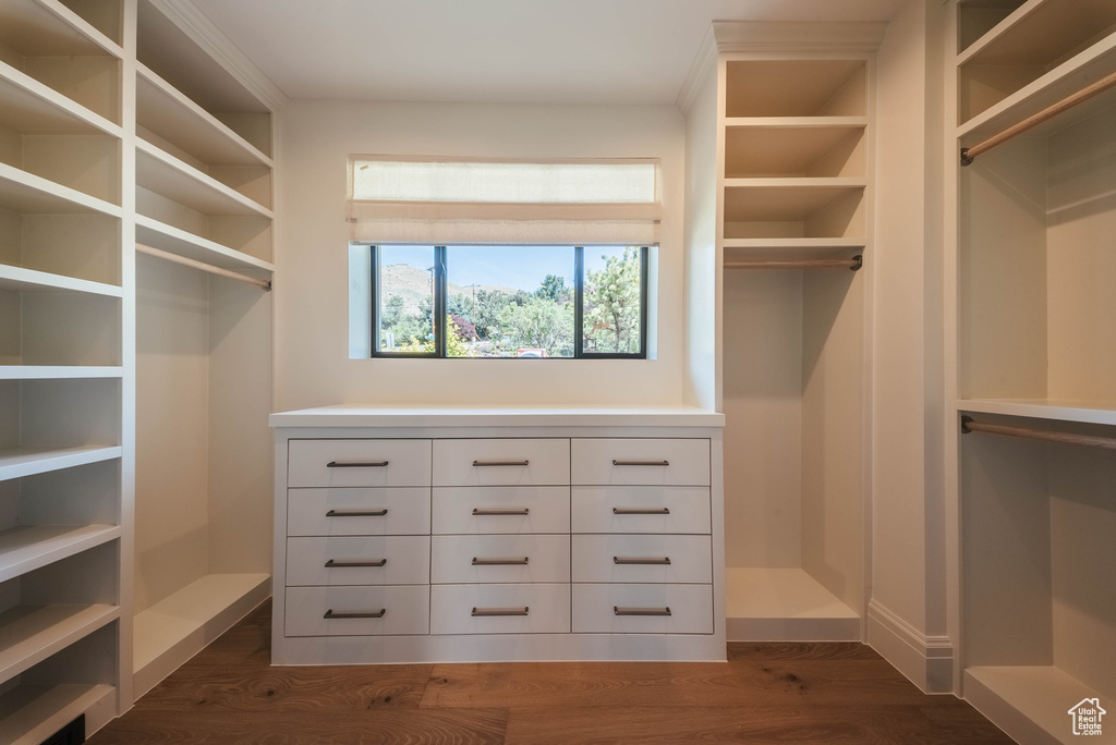 Walk in closet with dark wood-style flooring