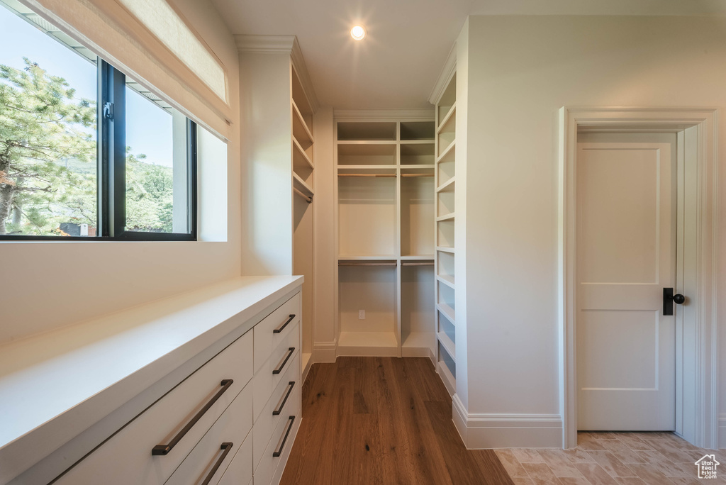 Walk in closet featuring light wood-type flooring