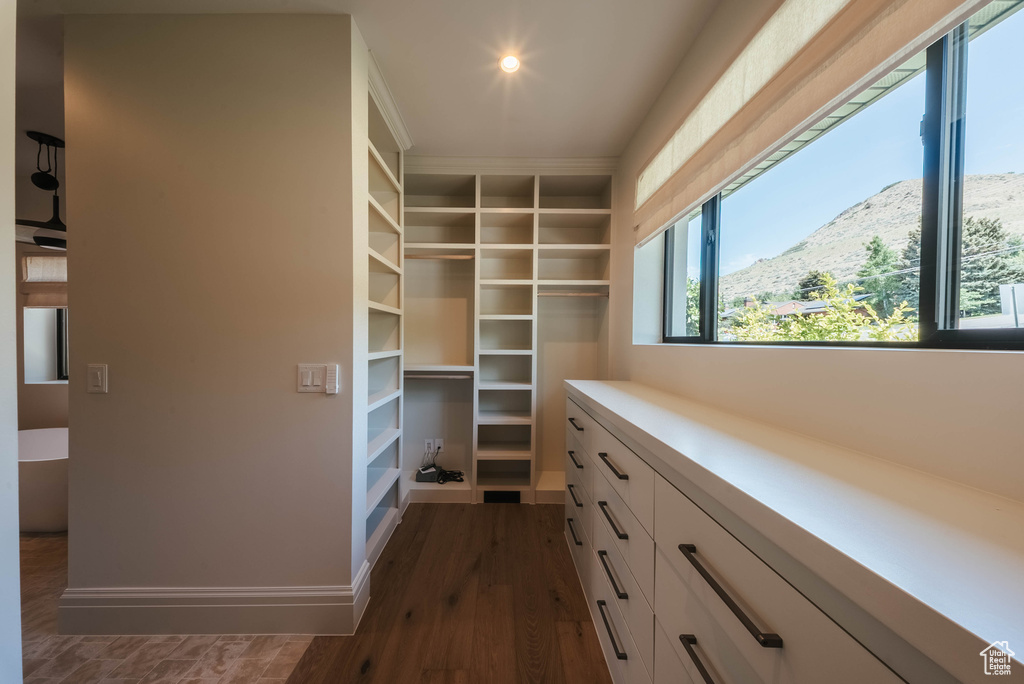 Spacious closet with dark wood-type flooring