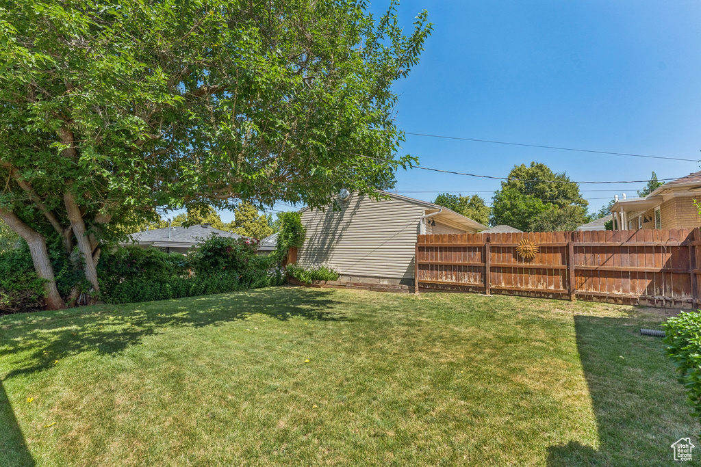 View of yard