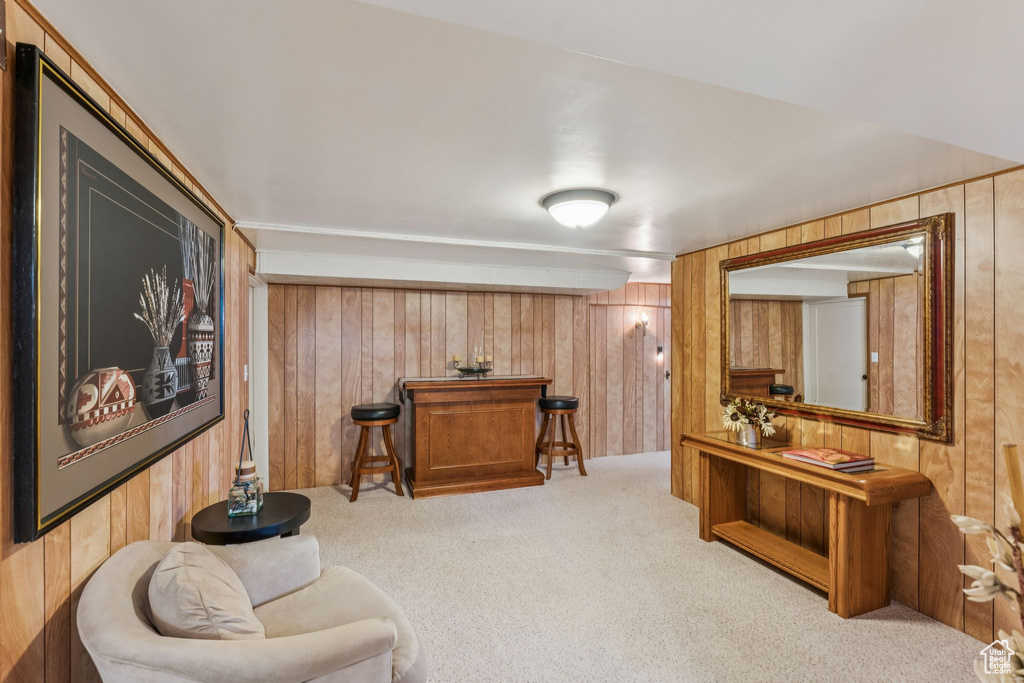 Sitting room with wooden walls, carpet flooring, and bar area