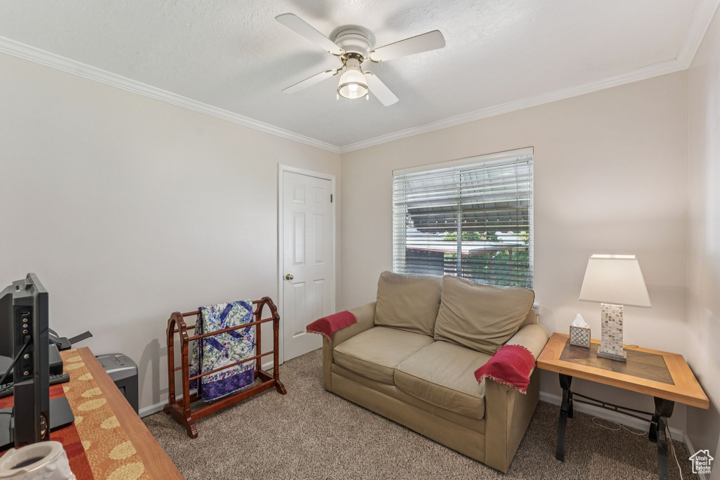 Living area featuring crown molding, a ceiling fan, and carpet floors