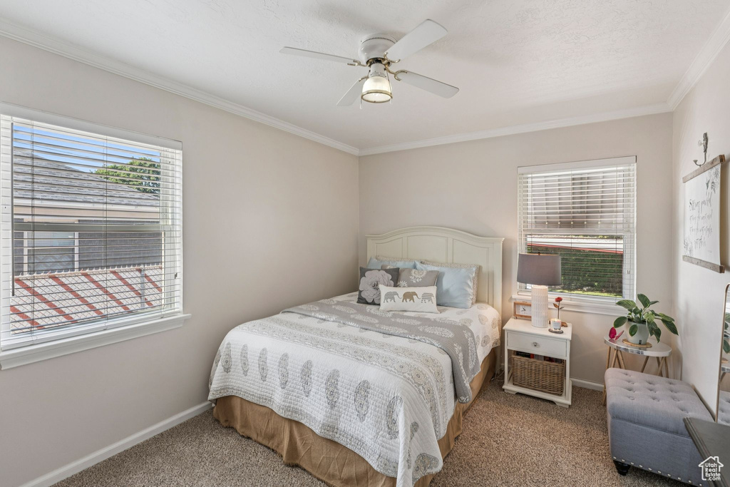 Bedroom with carpet, crown molding, and a ceiling fan