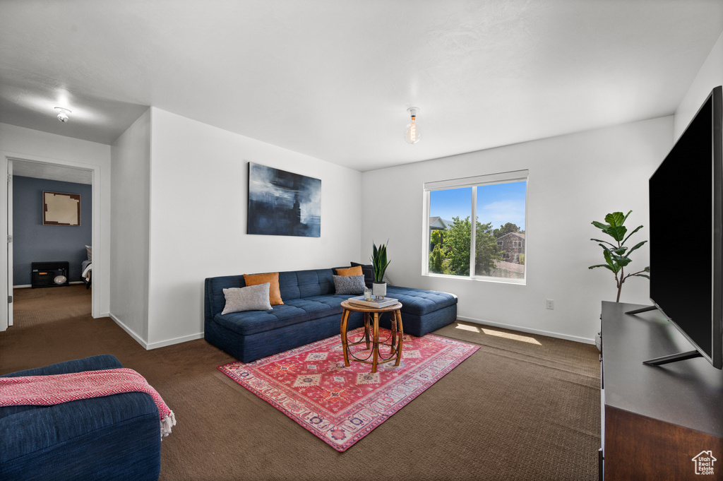 Living room featuring dark colored carpet