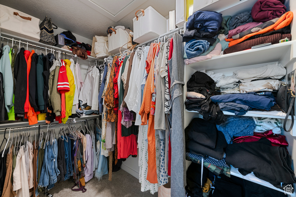 Walk in closet with carpet floors