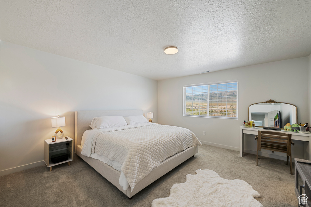 Bedroom with carpet and a textured ceiling