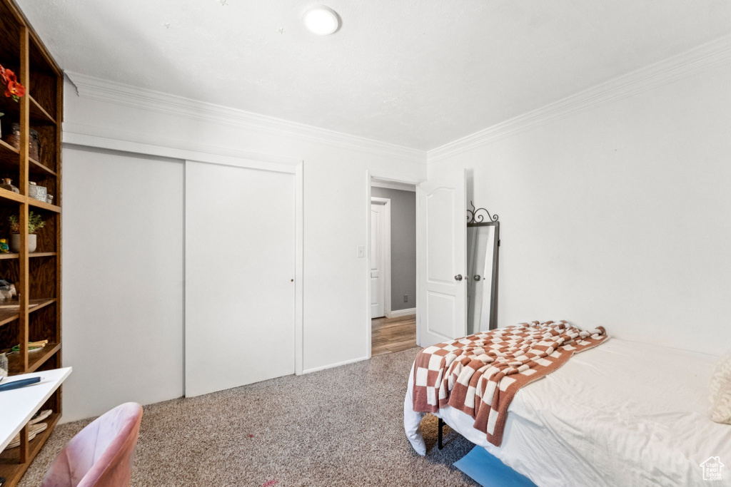 Bedroom featuring ornamental molding, carpet flooring, and a closet