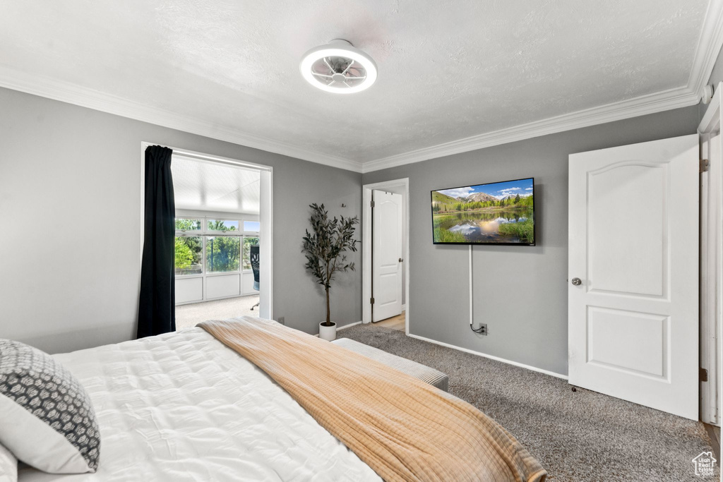 Bedroom featuring crown molding and carpet floors