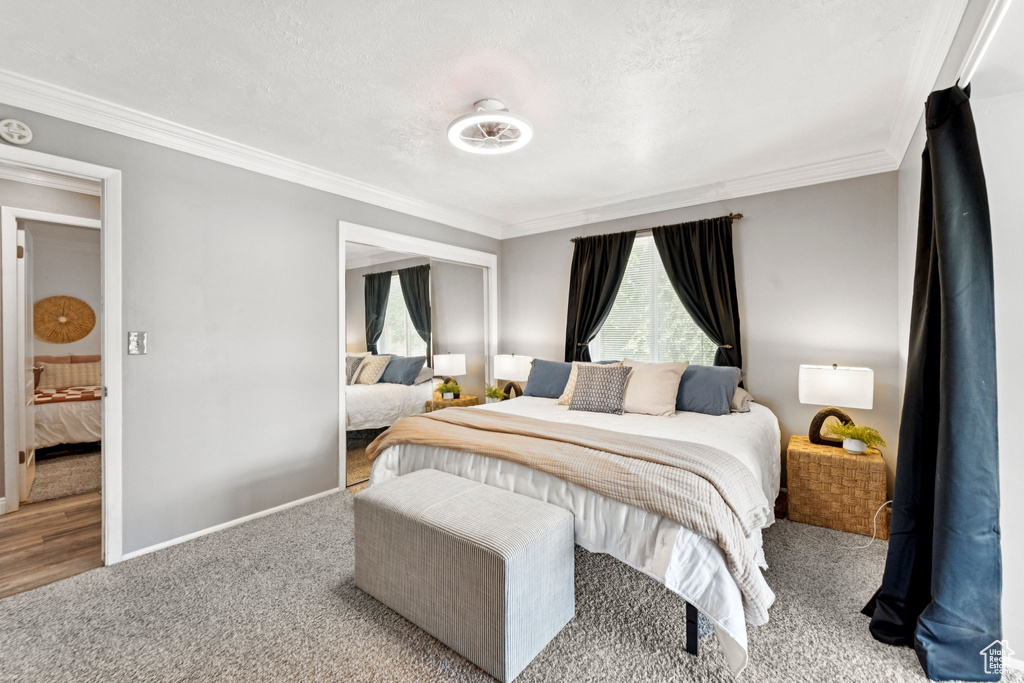 Bedroom featuring carpet flooring and crown molding