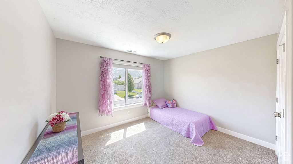 Carpeted bedroom featuring a textured ceiling