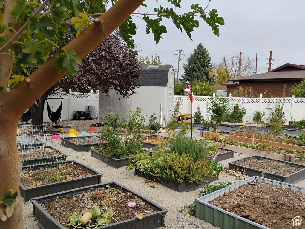 Fenced backyard with a shed and a vegetable garden