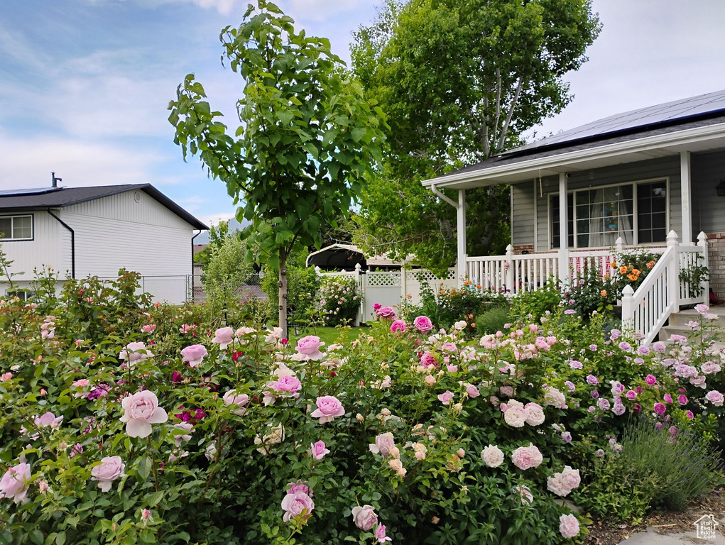 View of yard with covered porch