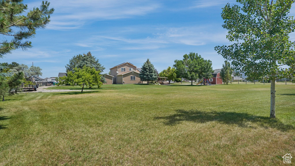 View of grassy yard