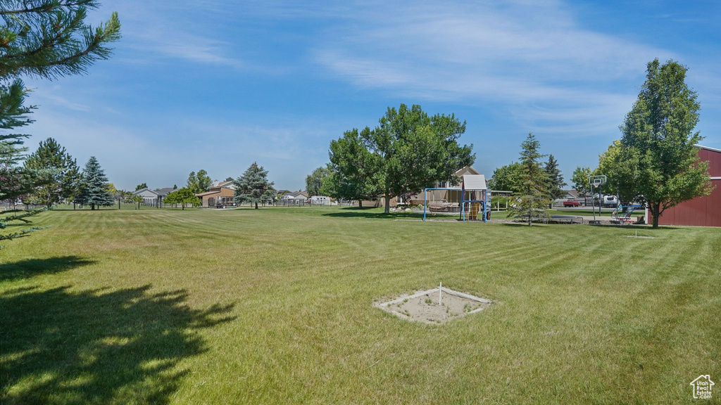 View of green lawn