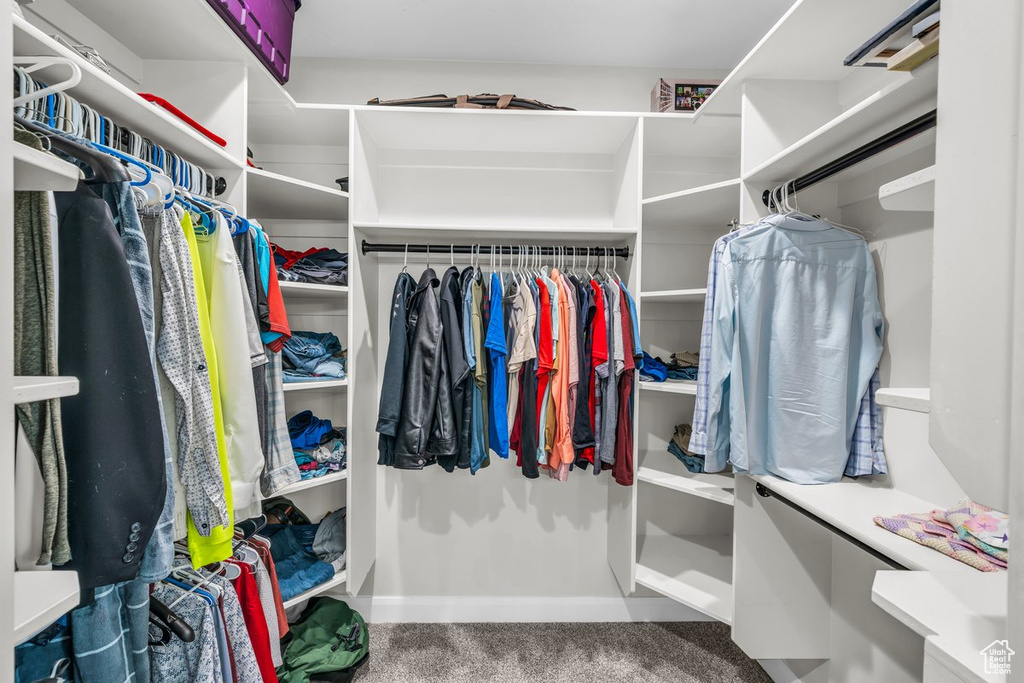 Walk in closet featuring carpet floors