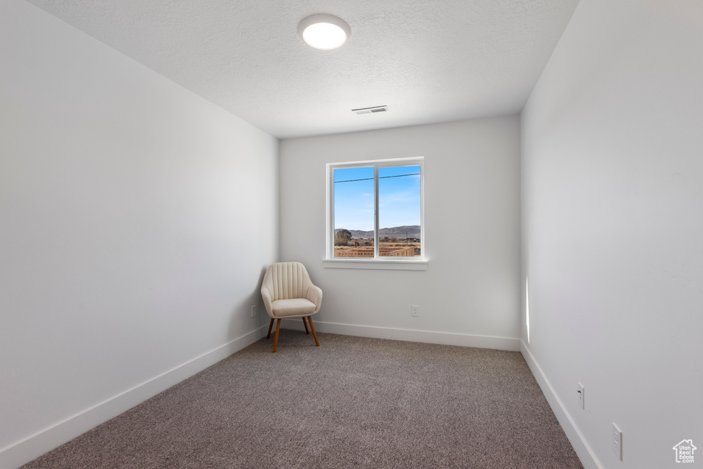 Carpeted spare room with baseboards and a textured ceiling