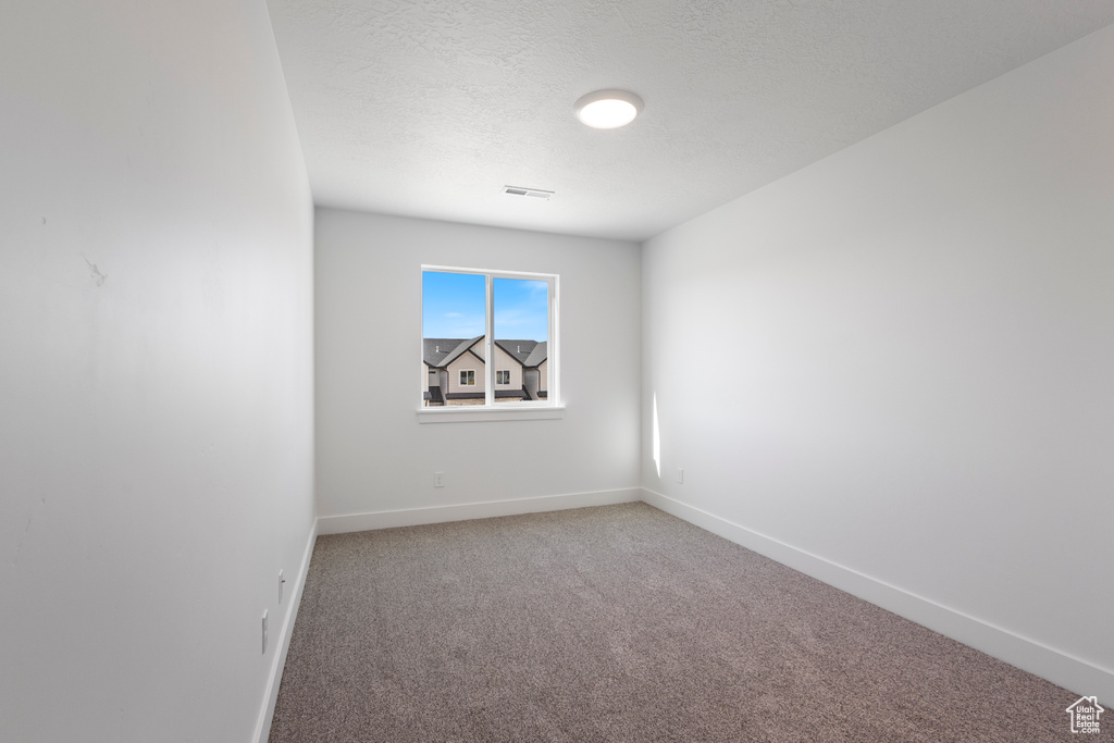 Spare room with light colored carpet and a textured ceiling
