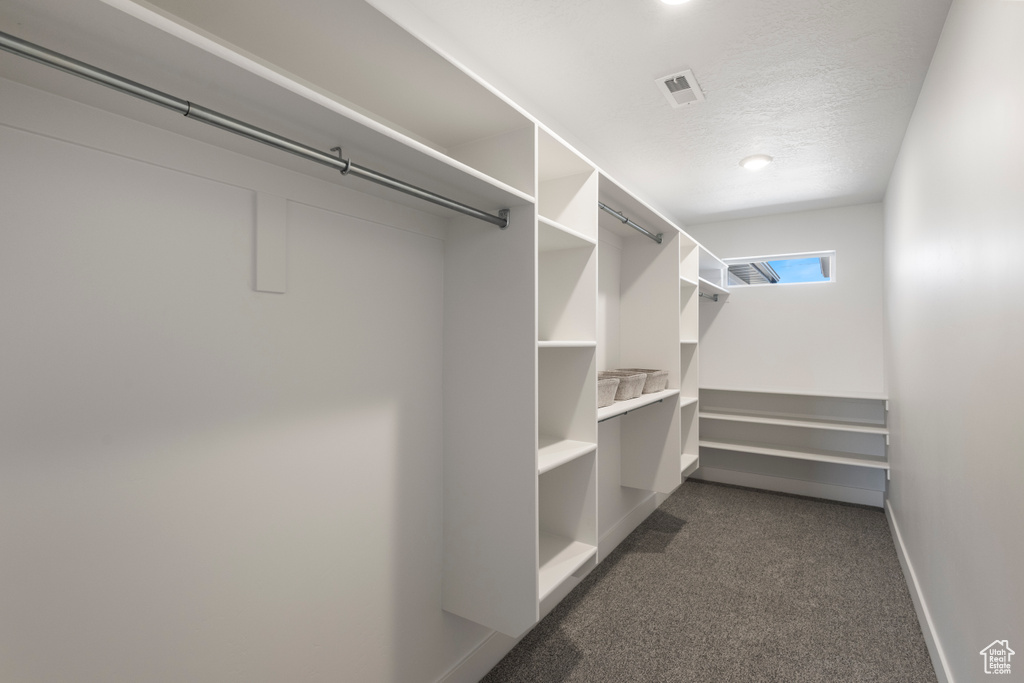 Walk in closet with dark carpet