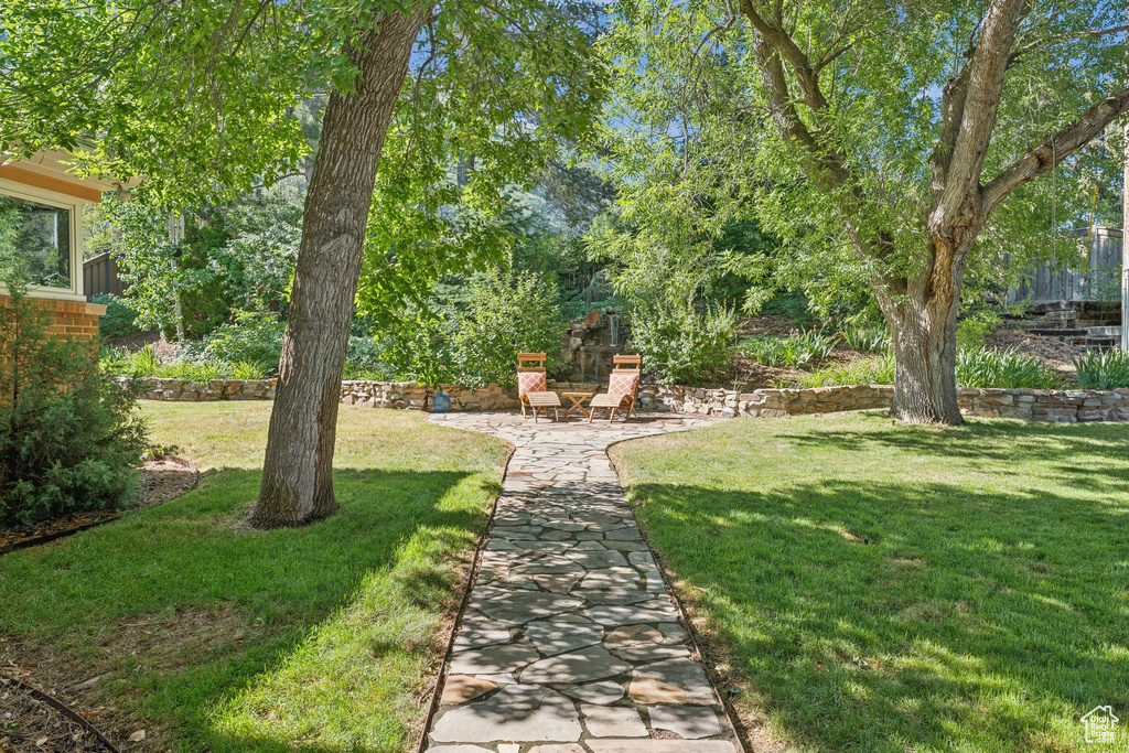 View of grassy yard