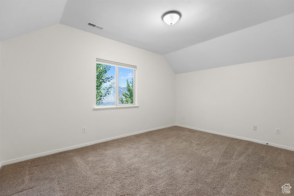 Additional living space featuring lofted ceiling and carpet