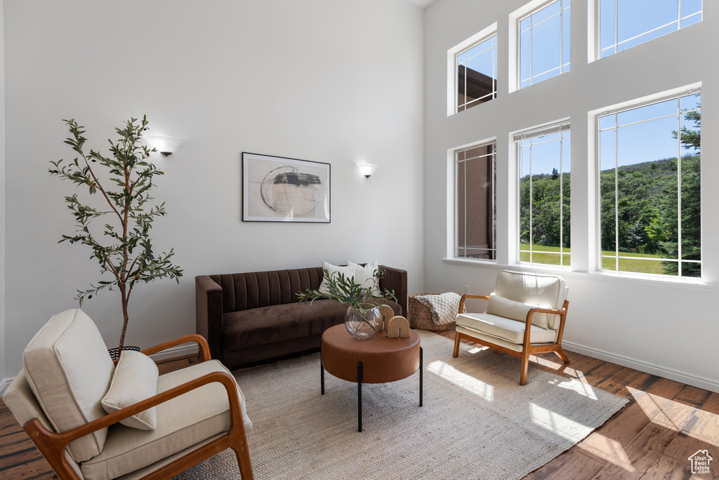 Living room featuring wood finished floors and a high ceiling