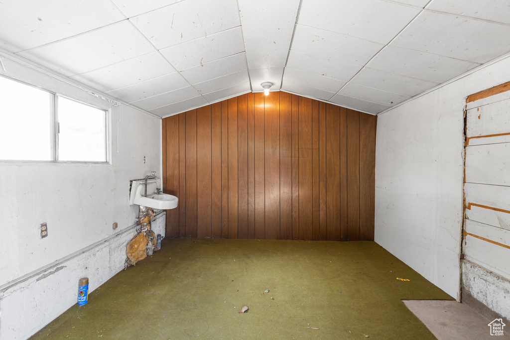 Below grade area featuring wooden walls