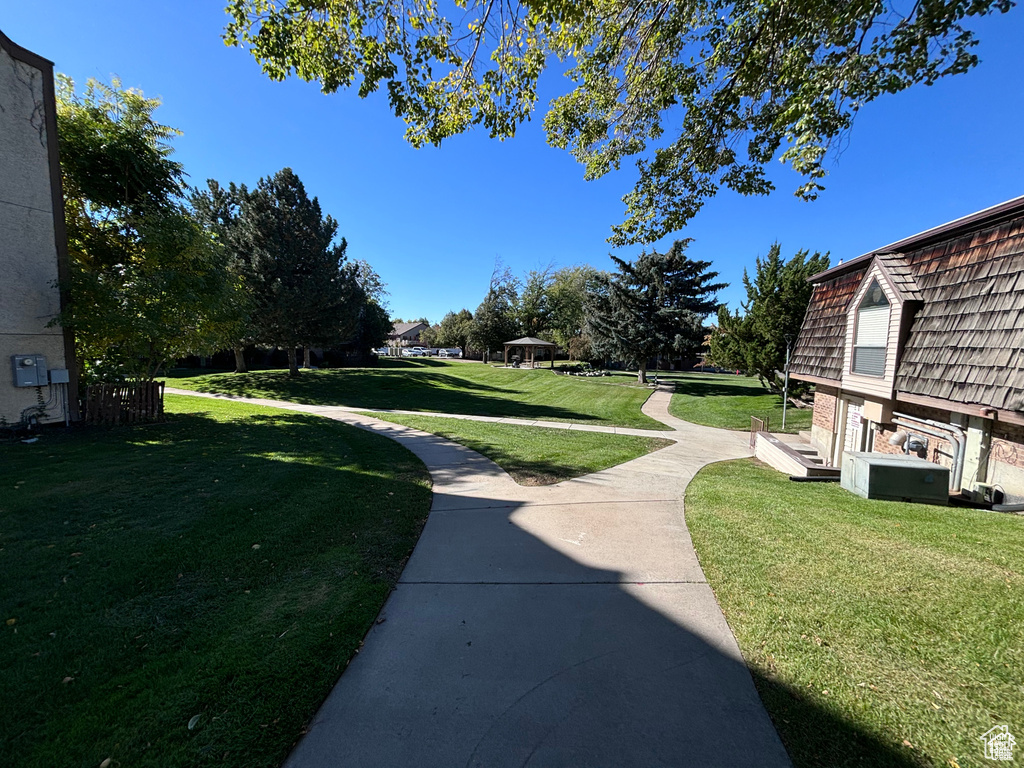 View of green lawn