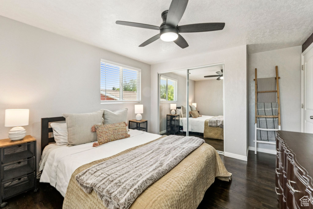 Bedroom featuring dark wood finished floors, a closet, and ceiling fan