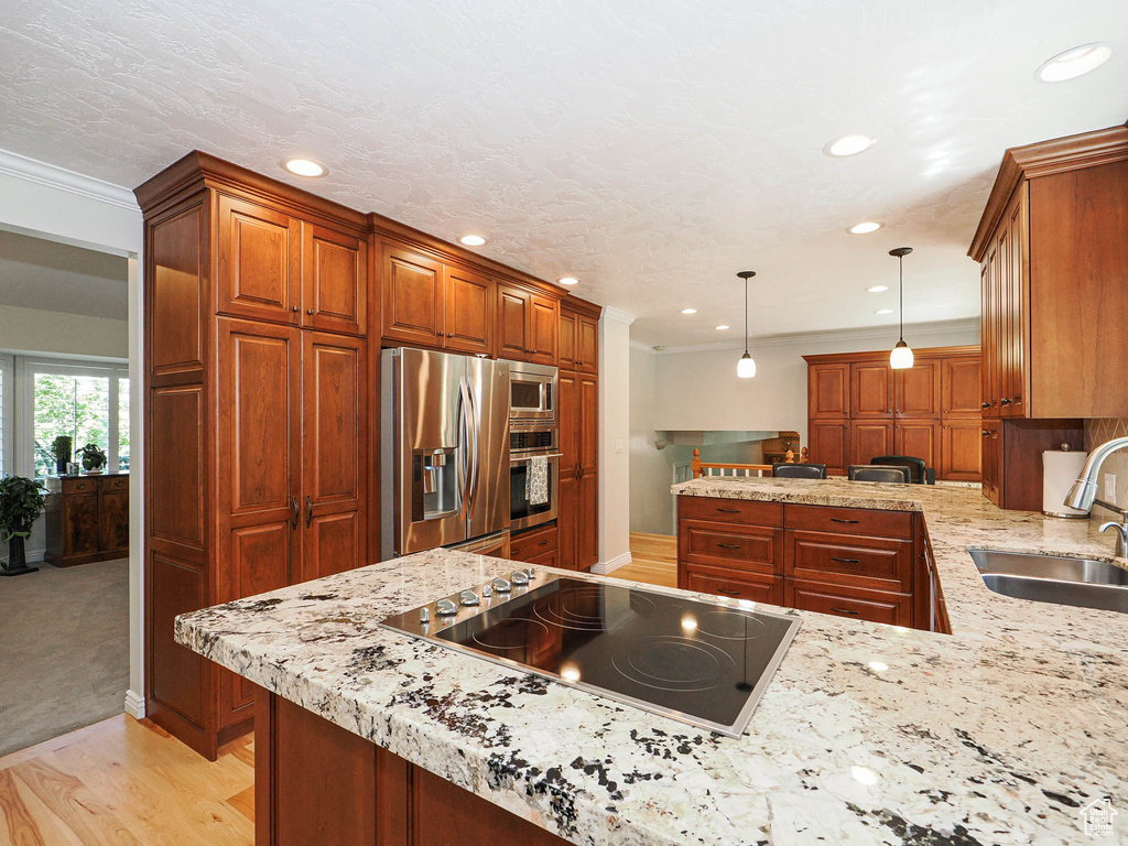10259 S 2460 E Sandy, UT 84092