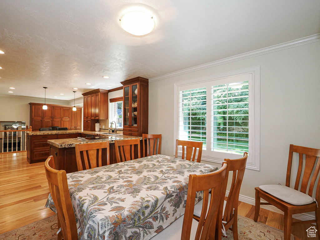 10259 S 2460 E Sandy, UT 84092
