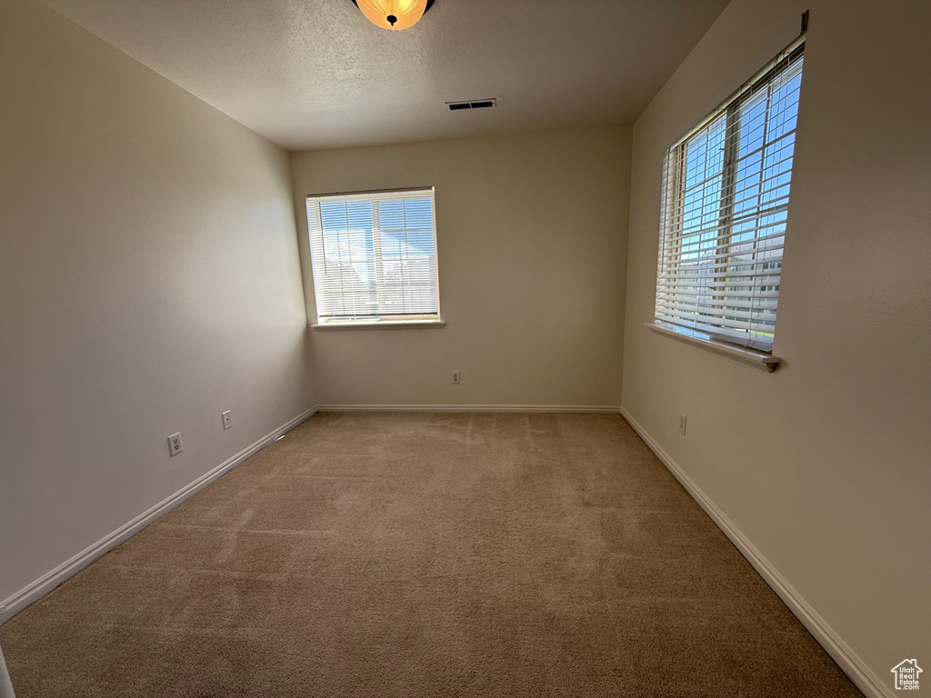 Unfurnished room featuring plenty of natural light, carpet flooring, and a textured ceiling