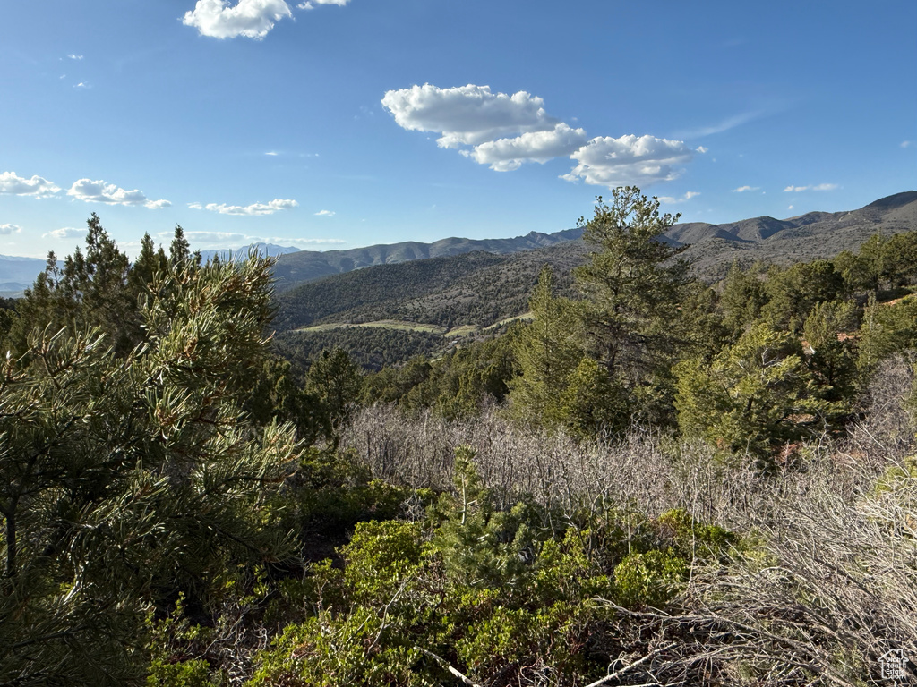 Mountain view