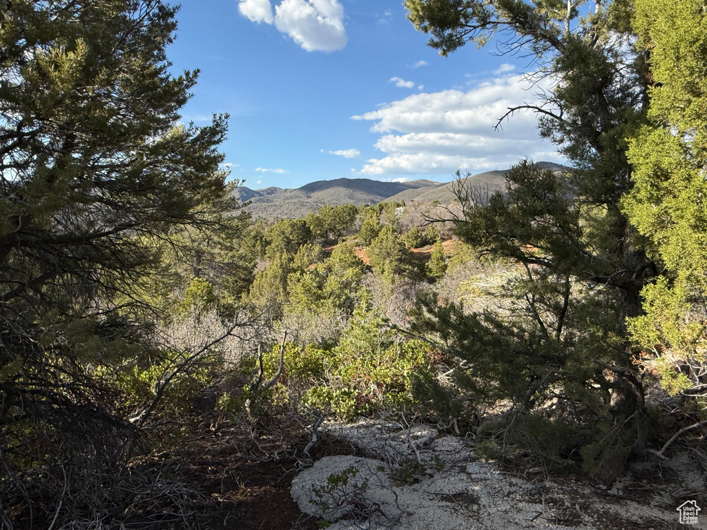 View of mountain backdrop with a forest
