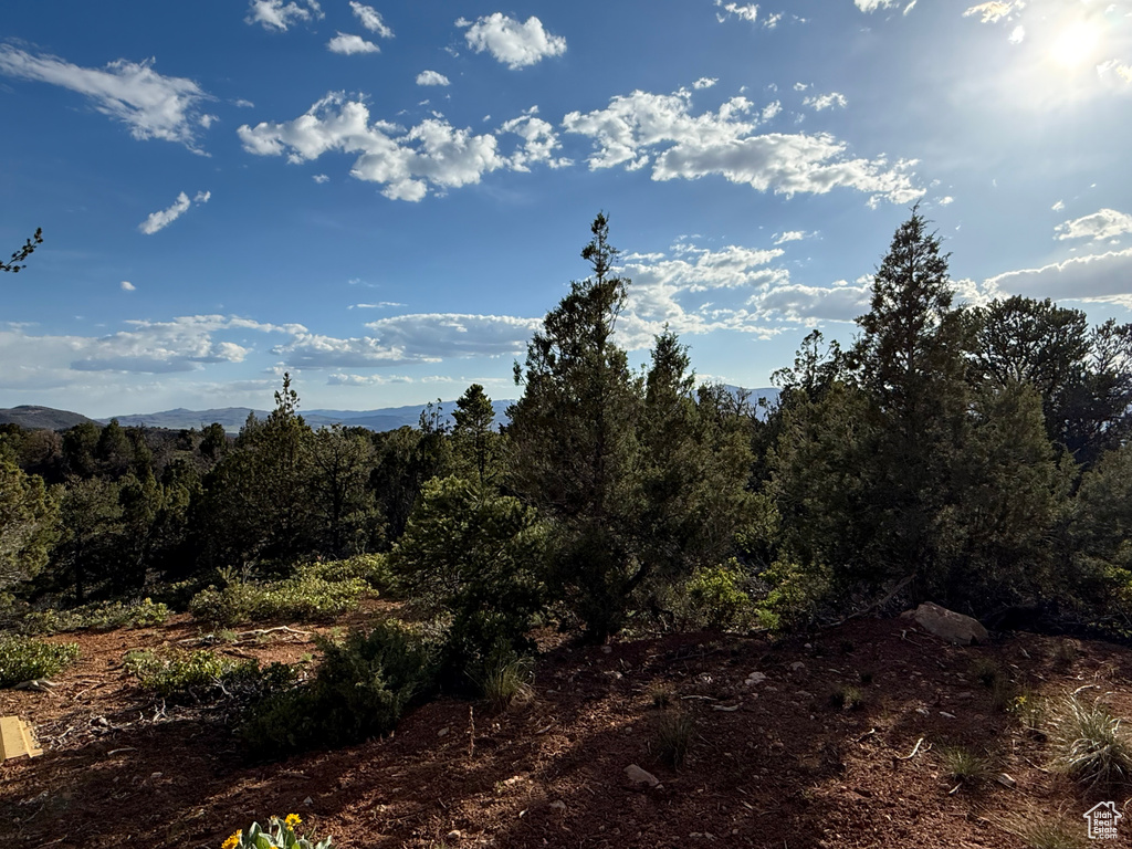 View of woods with a mountain view