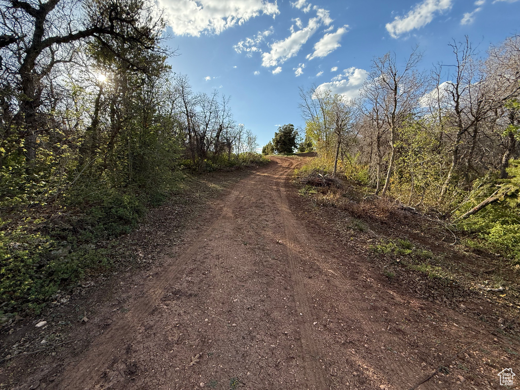 View of dirt / gravel road