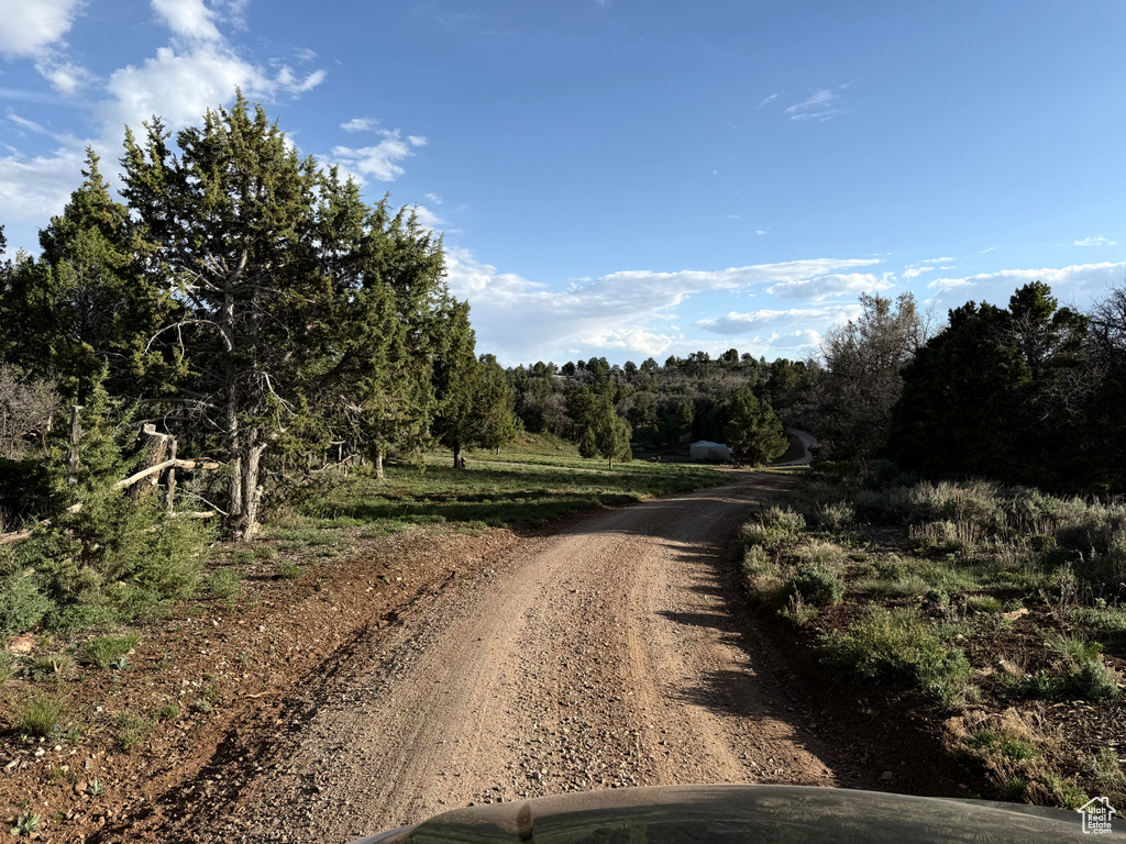 View of dirt / gravel road featuring a forest view