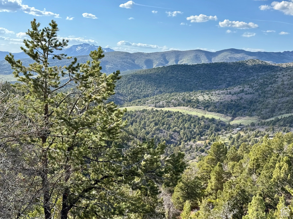 Mountain view featuring a forest