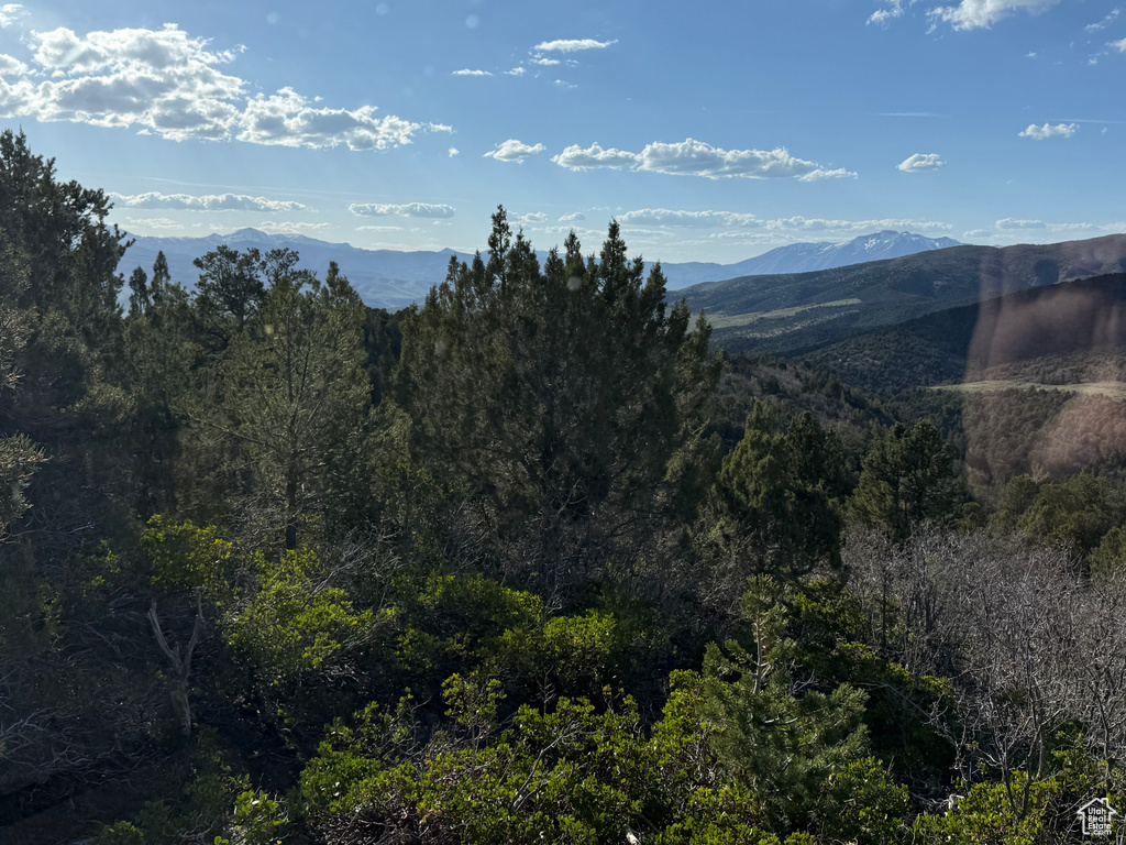 Mountain view featuring a forest