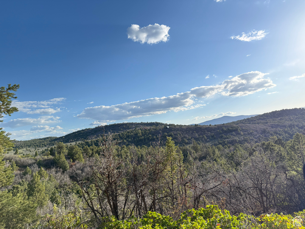 View of mountain background with a heavily wooded area